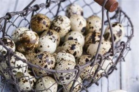 Quail egg