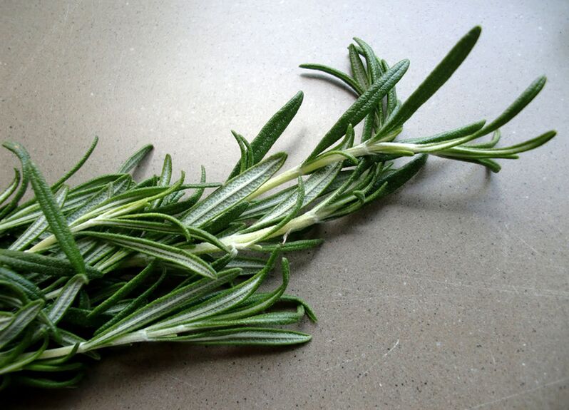 Rosemary to increase potency